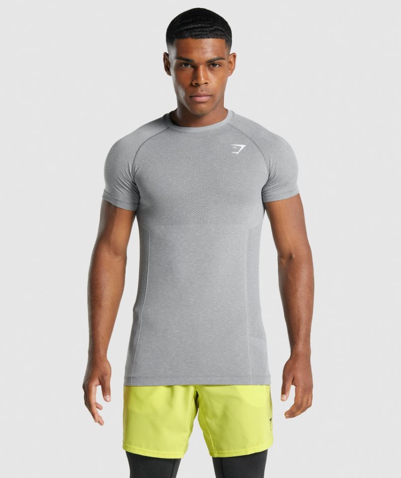 Koszulki Gymshark Vital Light Seamless Męskie Szare | PL 895KNY